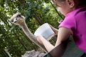 Feeding a large bird (ostrich, emu or something else?)