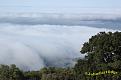 Mount Diablo State Park